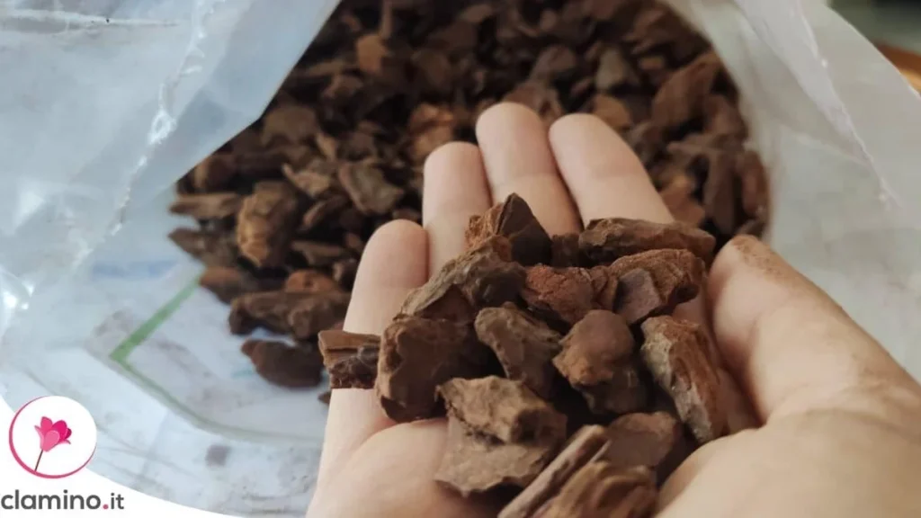 Corteza o musgo de esfagno: qué sustrato elegir según el tipo de orquídea y las condiciones del hogar