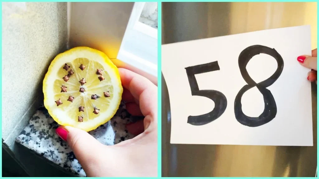 Limón con clavos de olor y el número 58: los remedios caseros que ahuyentan las moscas